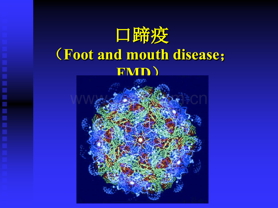 猪口蹄疫病.ppt_第1页