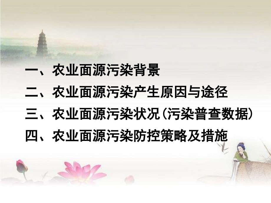 农业面源污染及其控制技术.ppt_第2页