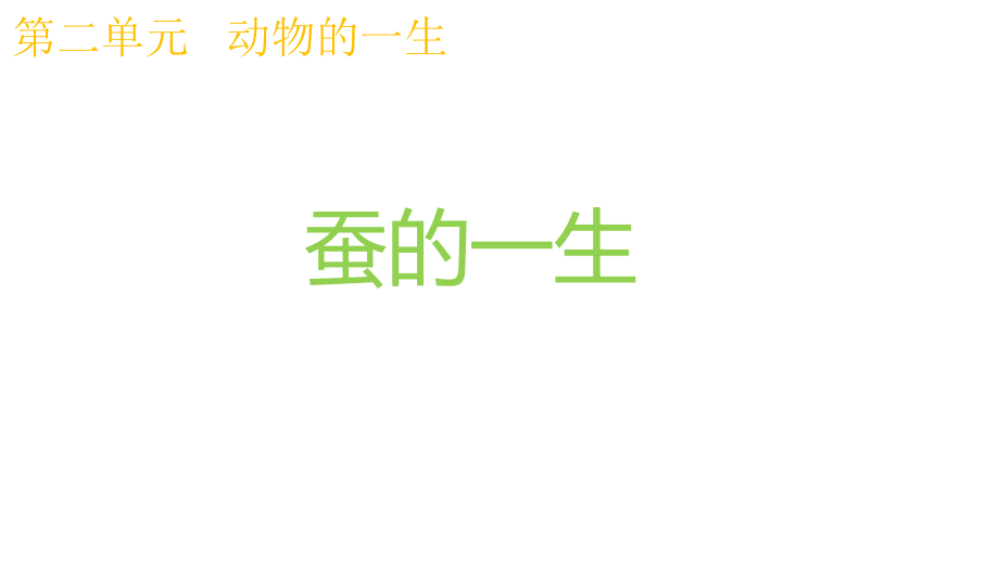 教科版科学三年级下册2.6蚕的一生课件.pptx_第1页