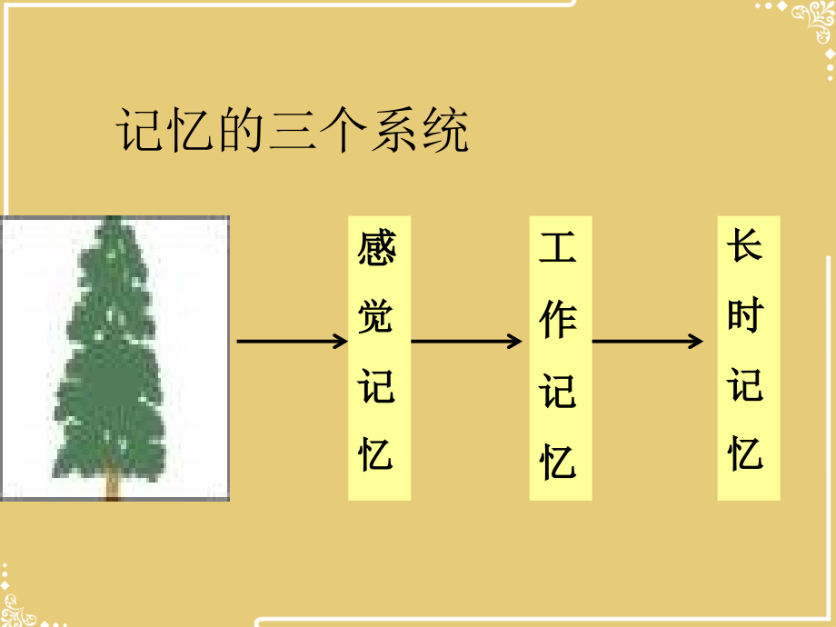 第六章第四节学习的信息加工论【共35张PPT】.ppt_第2页