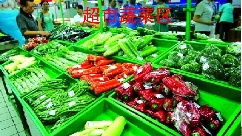 粤教版科学一年级上册课件：常见的水果和蔬菜-课件.pptx_第1页