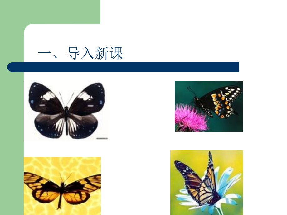 昆虫的生殖和发育(我的).ppt_第1页