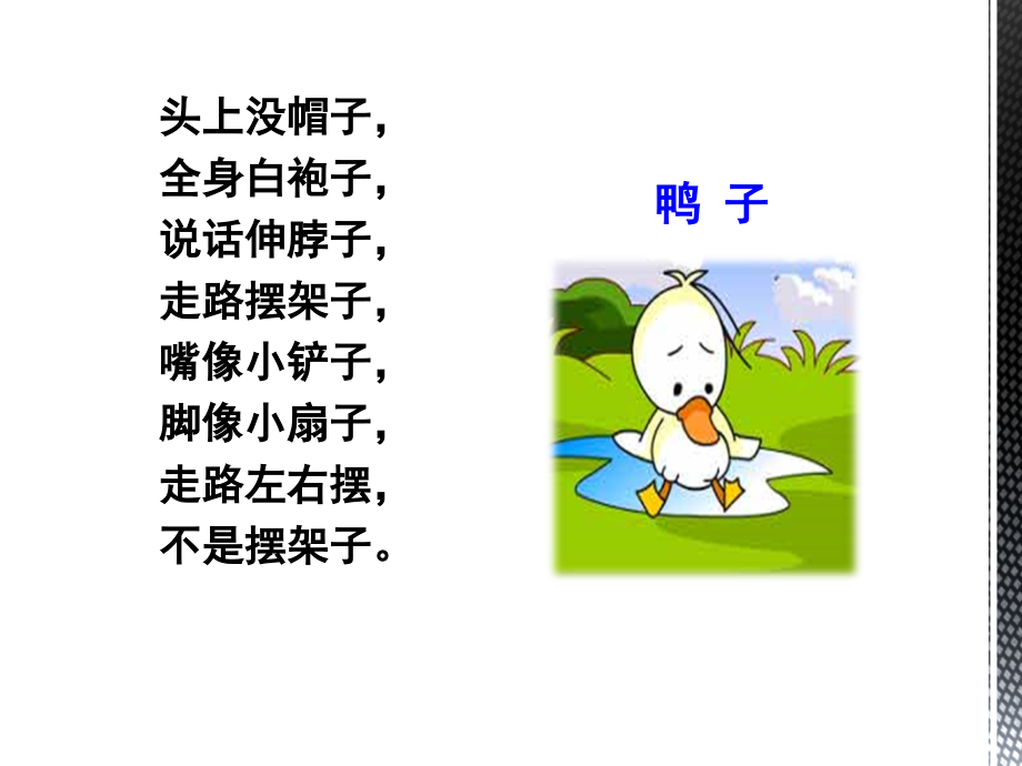 部编一年级语文新课文小公鸡和小鸭子.ppt_第2页