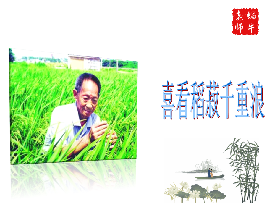 喜看稻菽千重浪公开课一等奖市赛课获奖课件.pptx_第1页