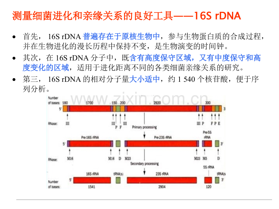 微生物多样性分析.ppt_第1页