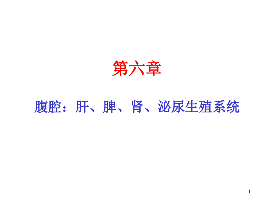 猪的病理解剖六.ppt_第1页