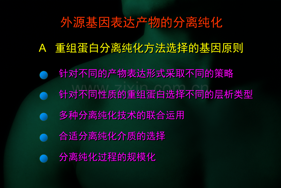 外源基因表达产物的分离纯化.ppt_第1页