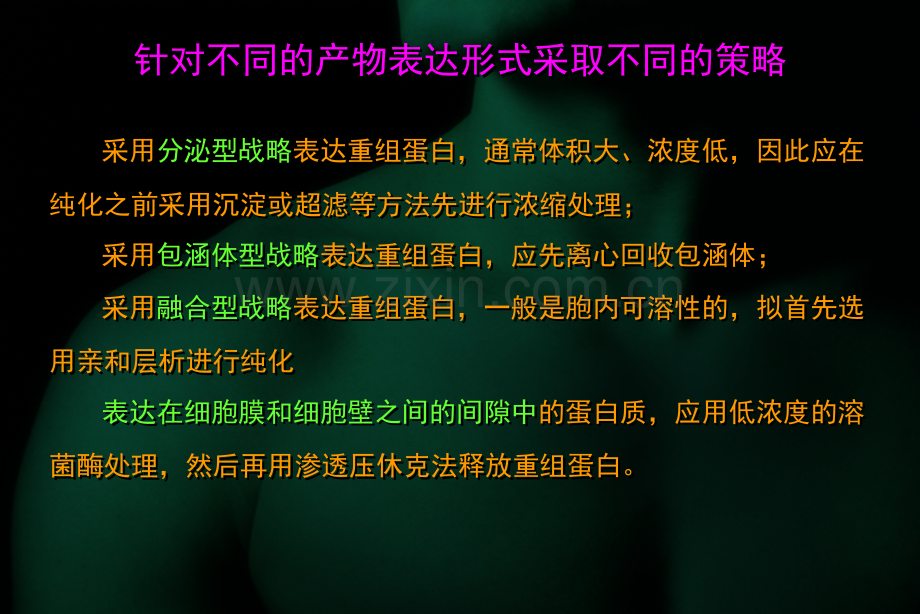 外源基因表达产物的分离纯化.ppt_第2页