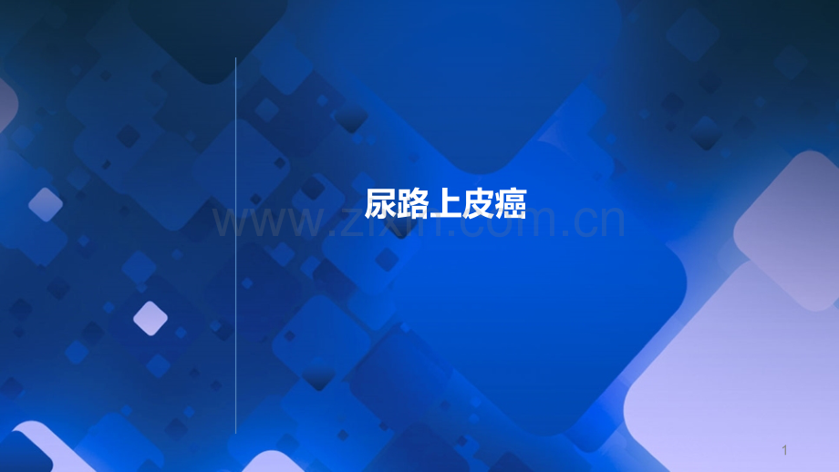 尿路皮癌.ppt_第1页