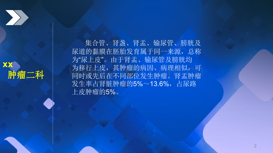 尿路皮癌.ppt_第2页