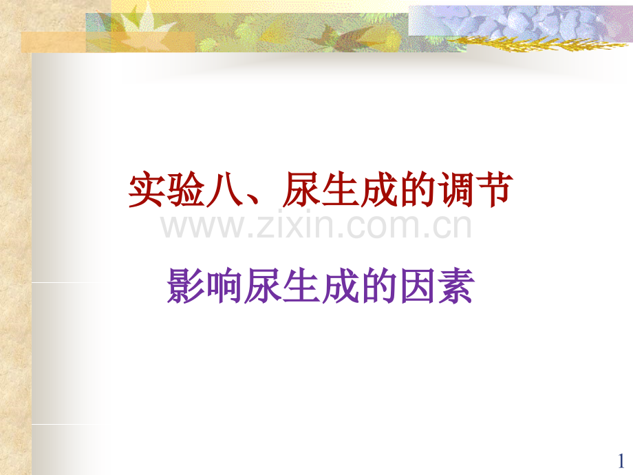 尿生成调节.ppt_第1页