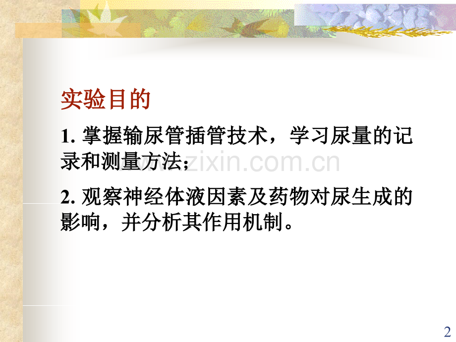 尿生成调节.ppt_第2页