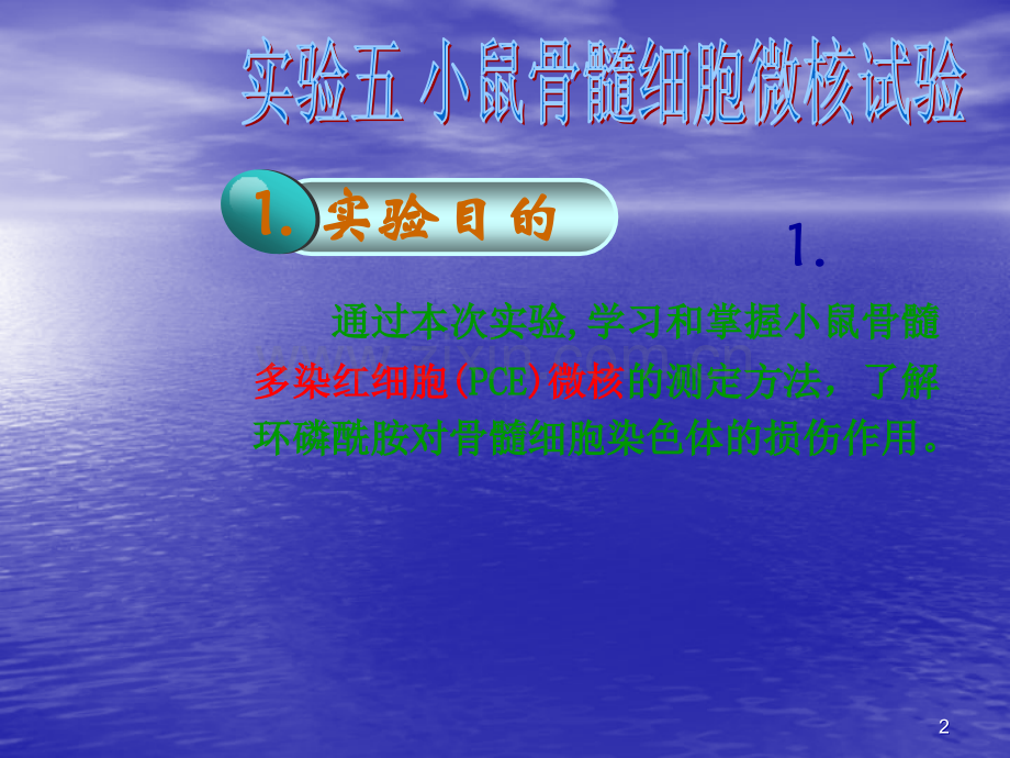 小鼠骨髓细胞微核试验.ppt_第2页