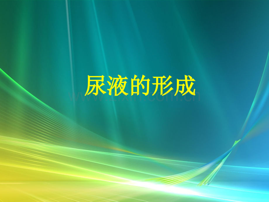 尿液的形成ppt医学课件.ppt_第1页