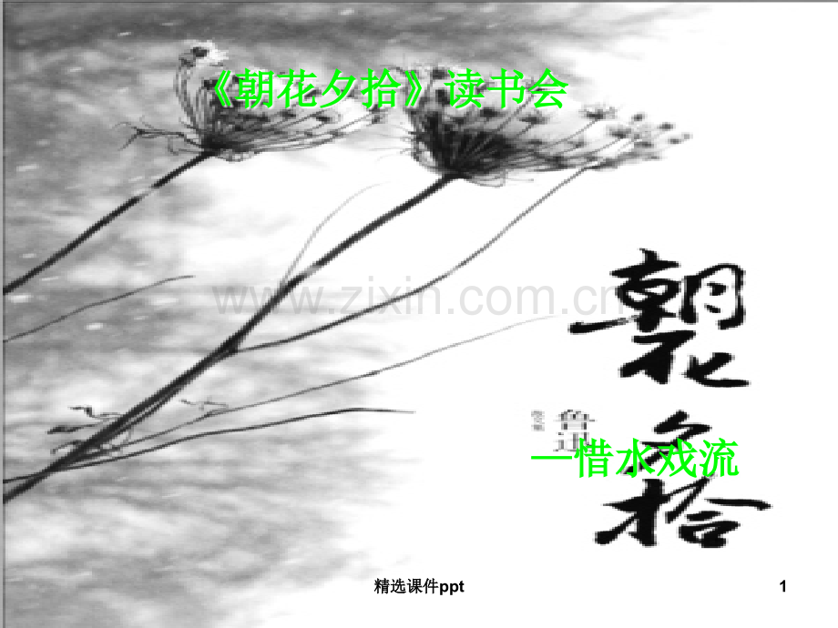 朝花夕拾读书交流会.ppt_第1页