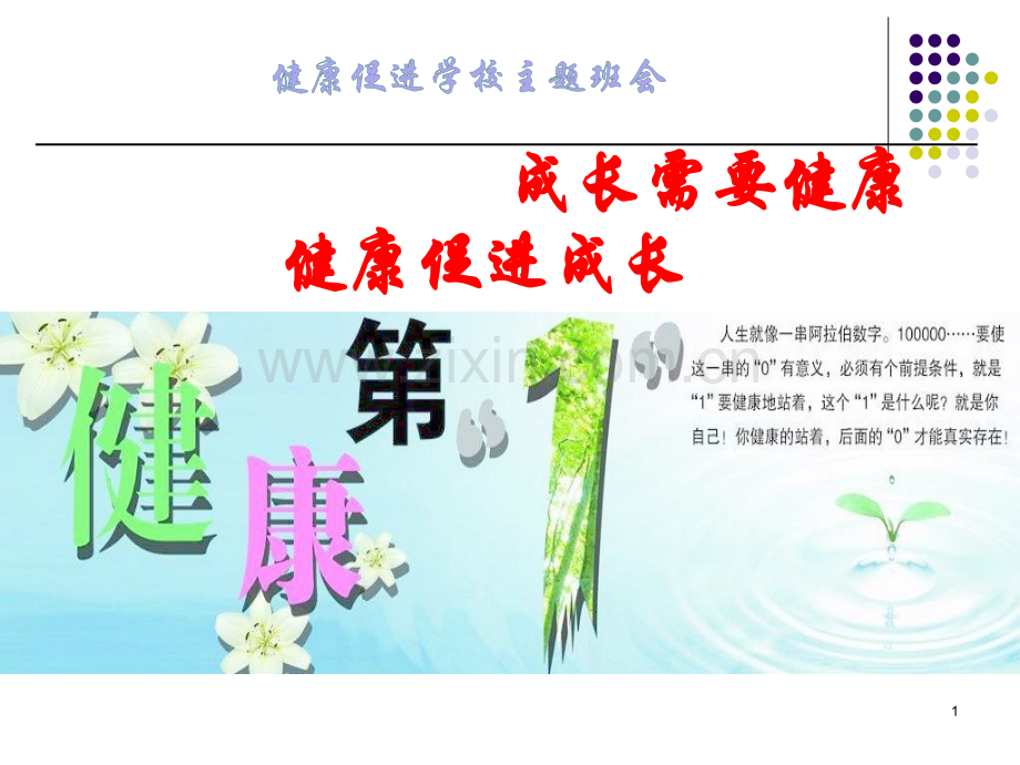 健康促进学校主题班会.ppt_第1页