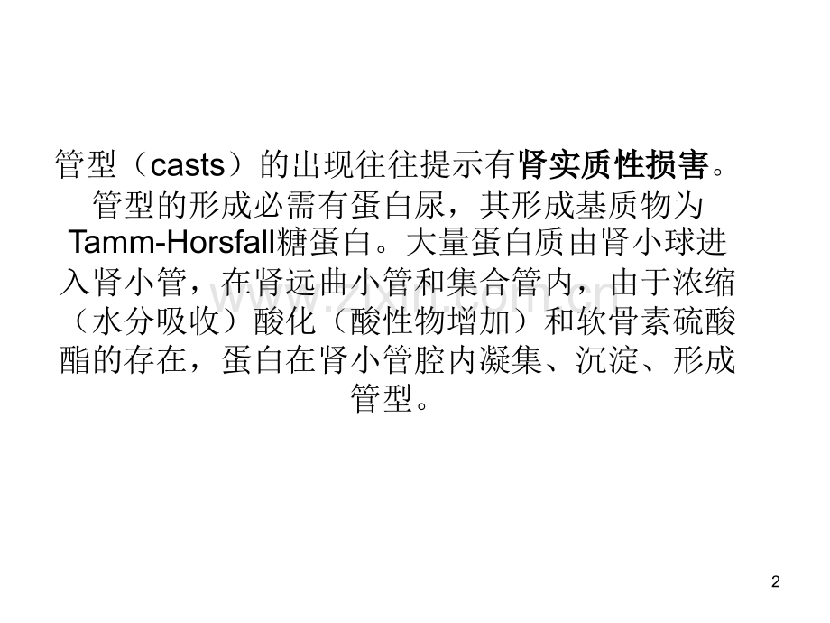 尿管型检查.ppt_第2页