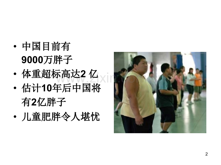 健康专题之肥胖.ppt_第2页