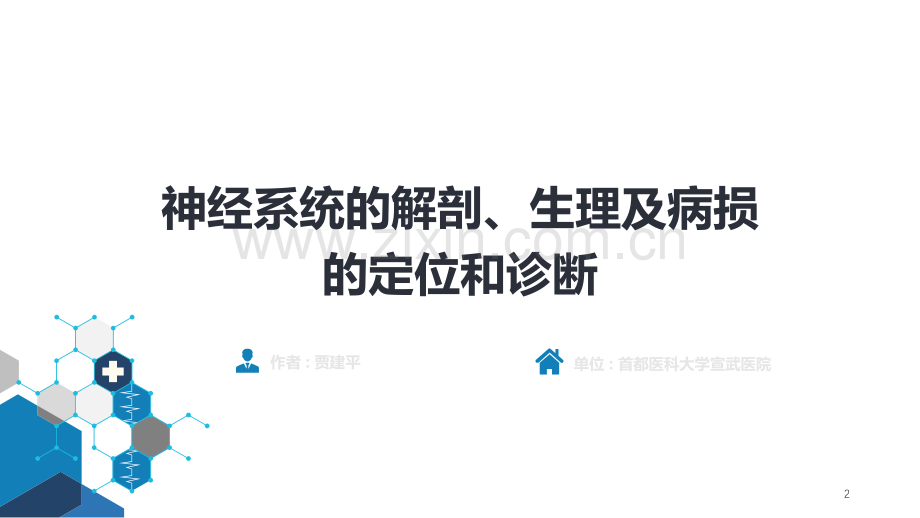 神经病学第八版第二章神经系统的解剖生理及病损的定位诊断ppt课件.ppt_第2页