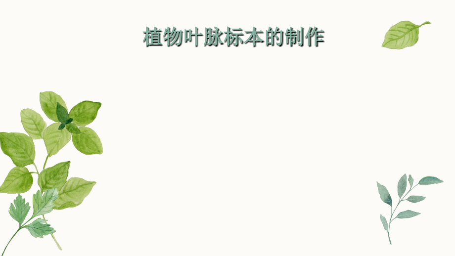 叶脉书签制作.ppt_第2页