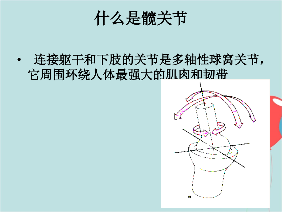 人工髋关节置换术的护理.pptx_第2页
