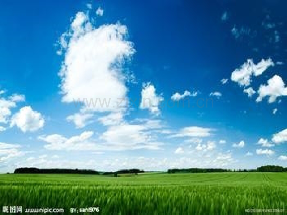 五年级语文下册草原.ppt_第2页