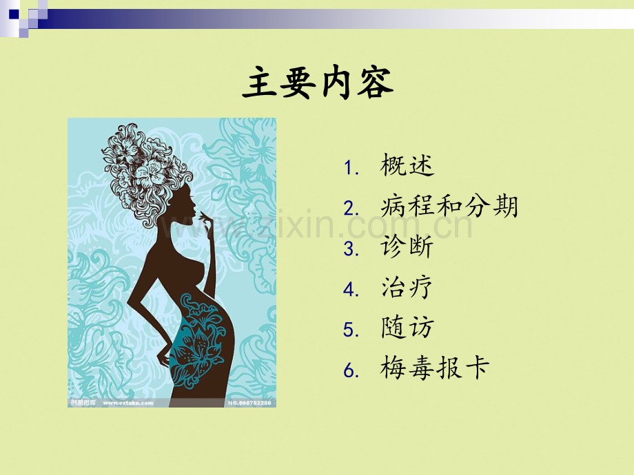 2022年医学专题-妊娠合并梅毒的诊治.pptx_第2页