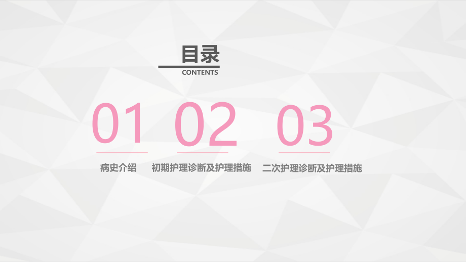 肺部感染的护理措施培训ppt.pptx_第2页