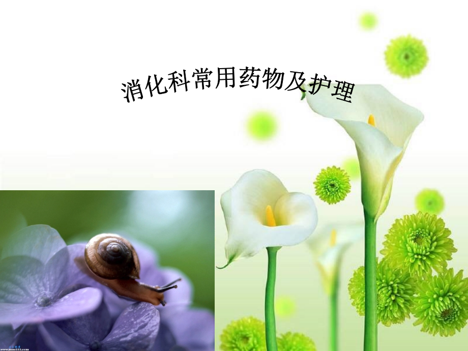 消化科常用药物及护理.ppt_第1页
