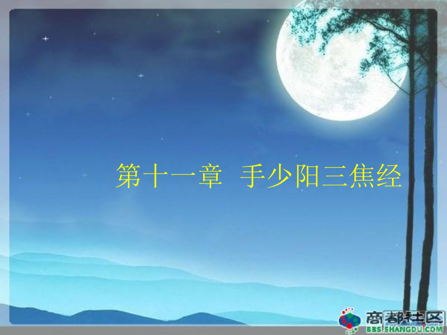 第11章-手少阳三焦经2013年修正稿.ppt_第1页