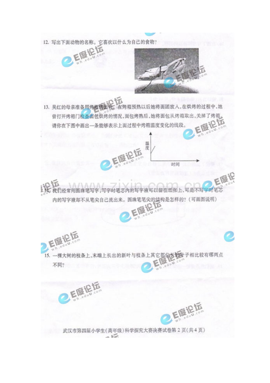 第五届“科学探究”大赛决赛试卷（高年级）.doc_第2页