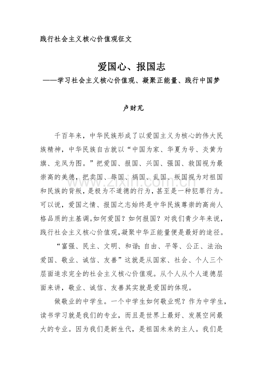 爱国心、报国志.doc_第1页