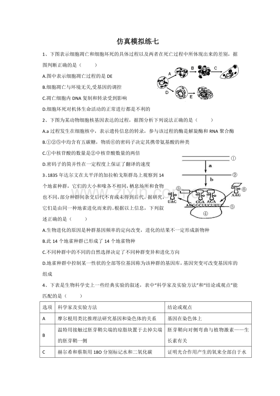 仿真模拟练七.doc_第1页