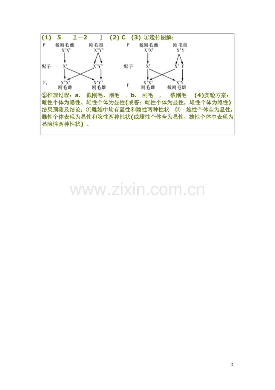 遗传专题练习二.doc_第2页