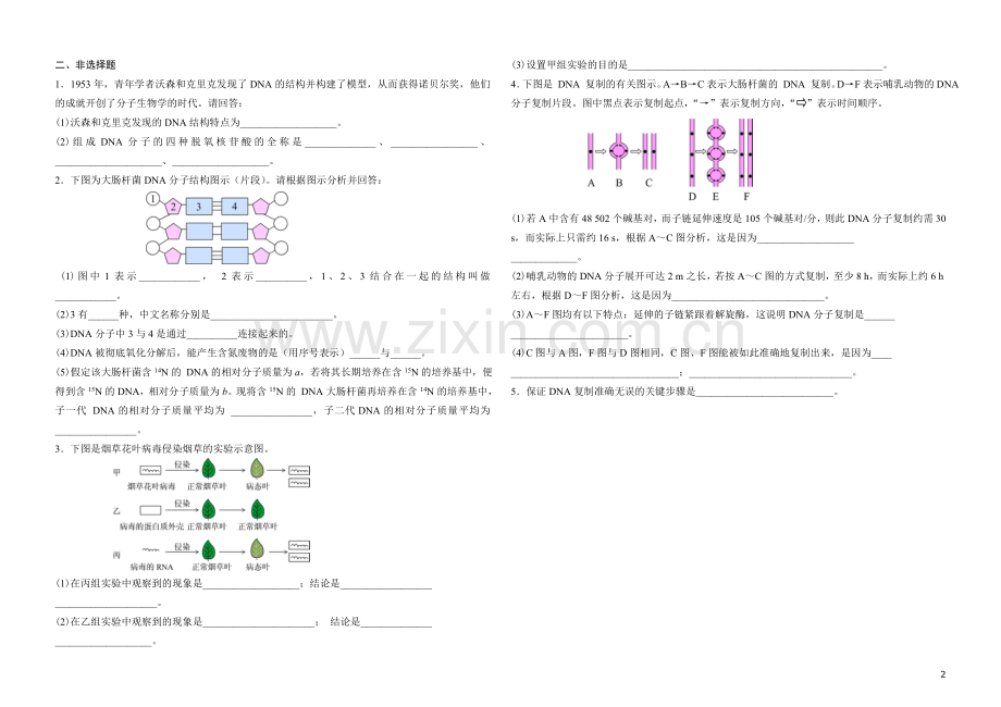 高中生物_必修二_第三章测试题及答案.doc_第2页