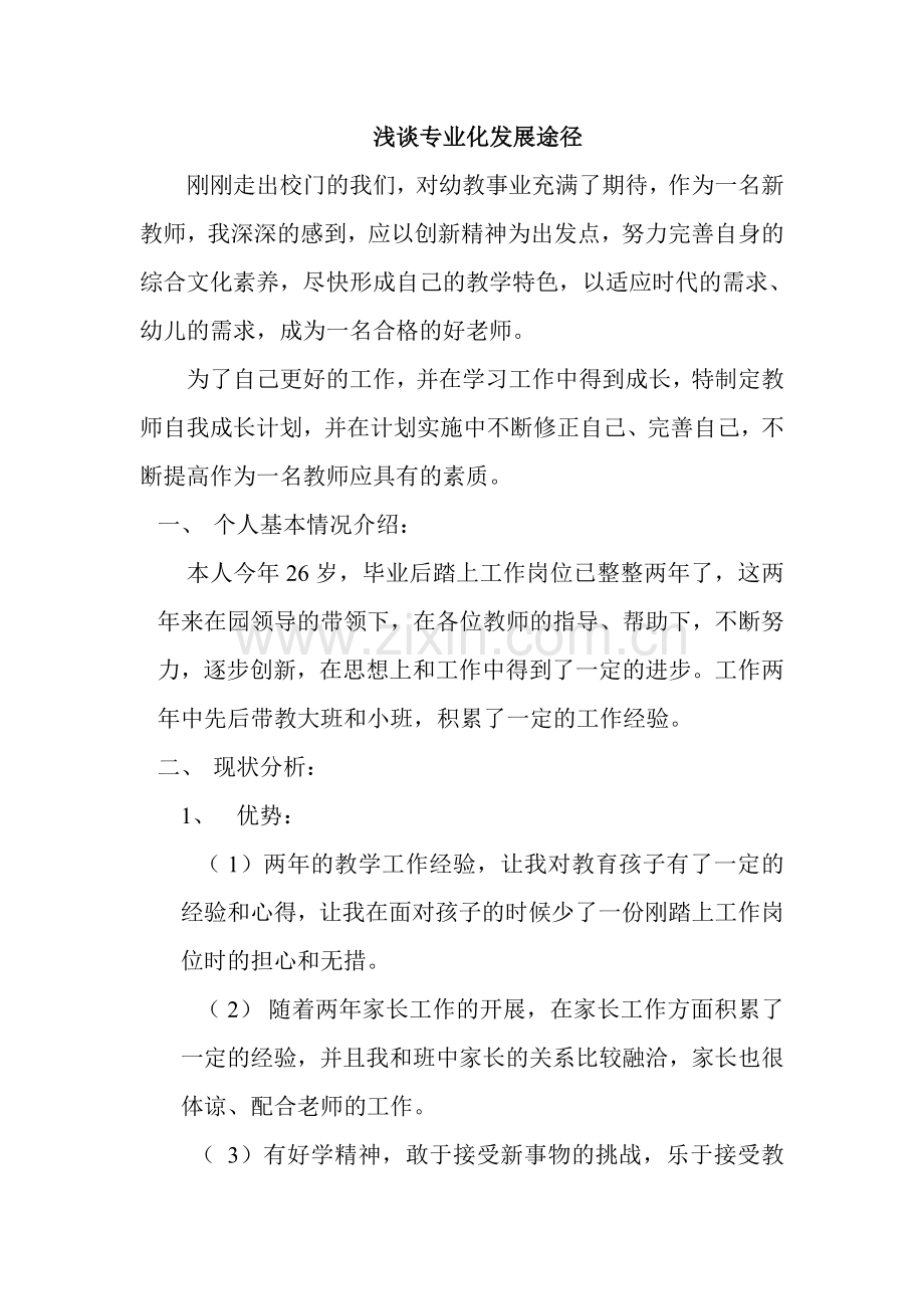 浅谈专业化发展途径.doc_第1页