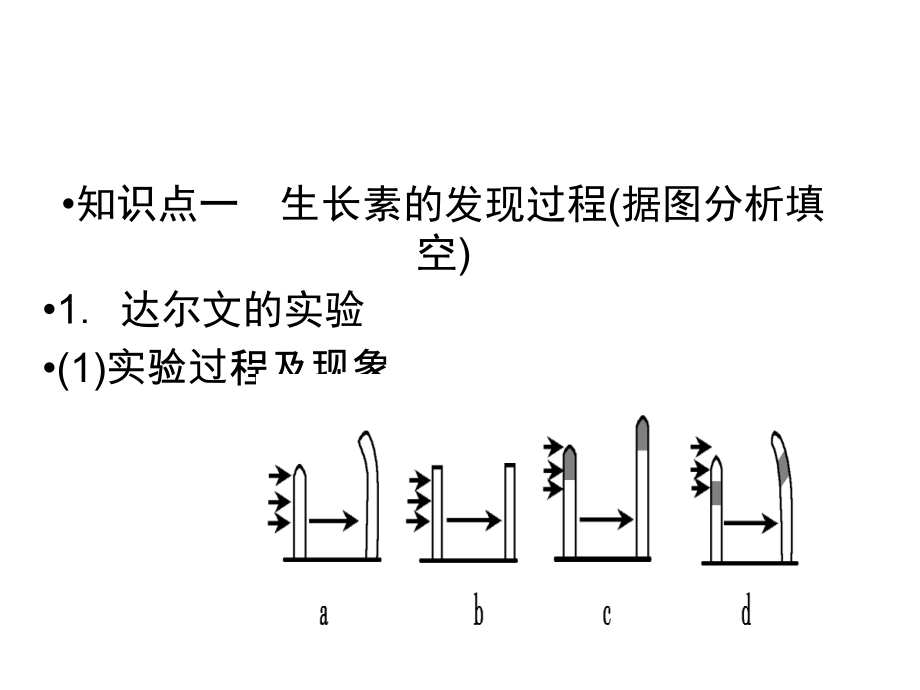 植物激素调节.ppt_第2页