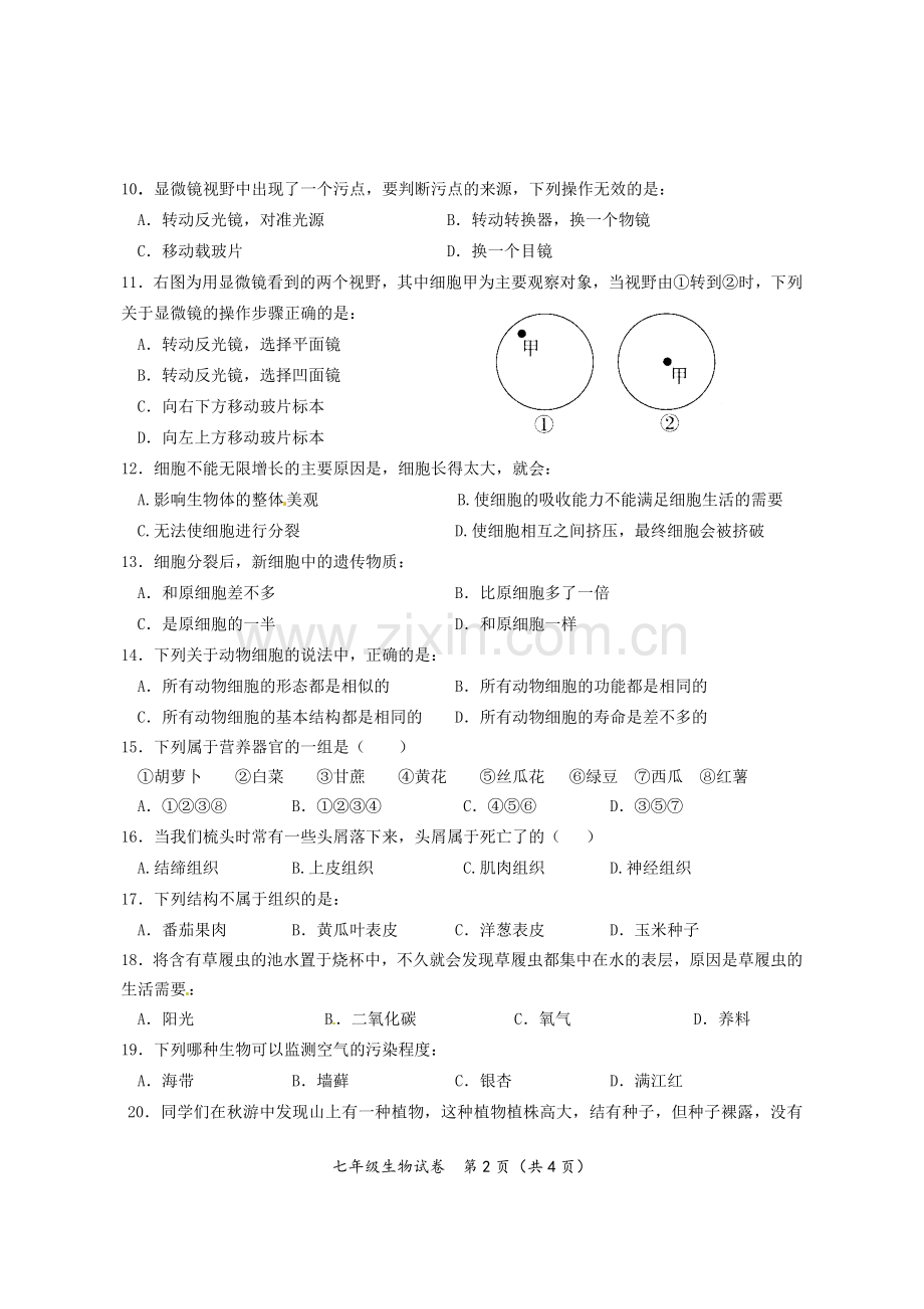 生物--七年级--试卷.doc_第2页