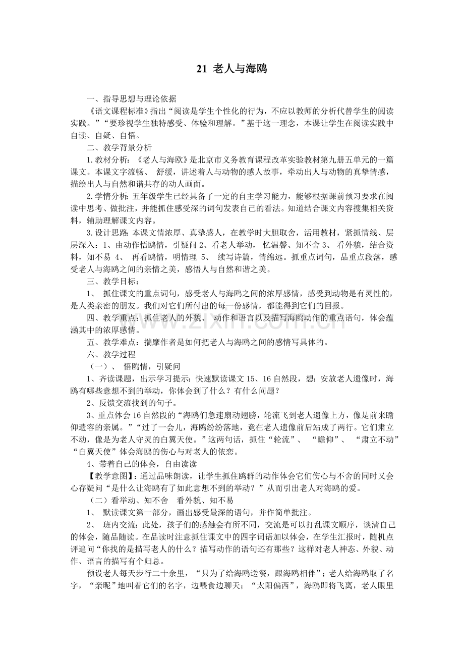《老人与海鸥》教案.doc_第1页