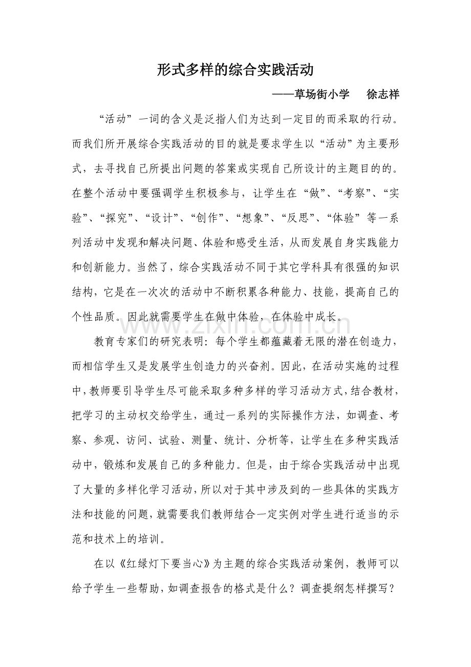 形式多样的综合实践活动.doc_第1页