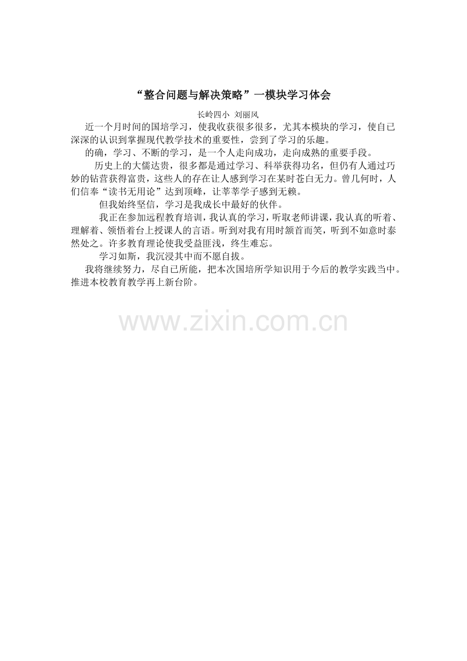 整合问题与解决策略.doc_第1页