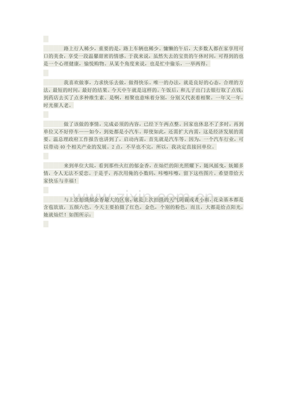 爱之语荷兰红色郁金香.doc_第2页