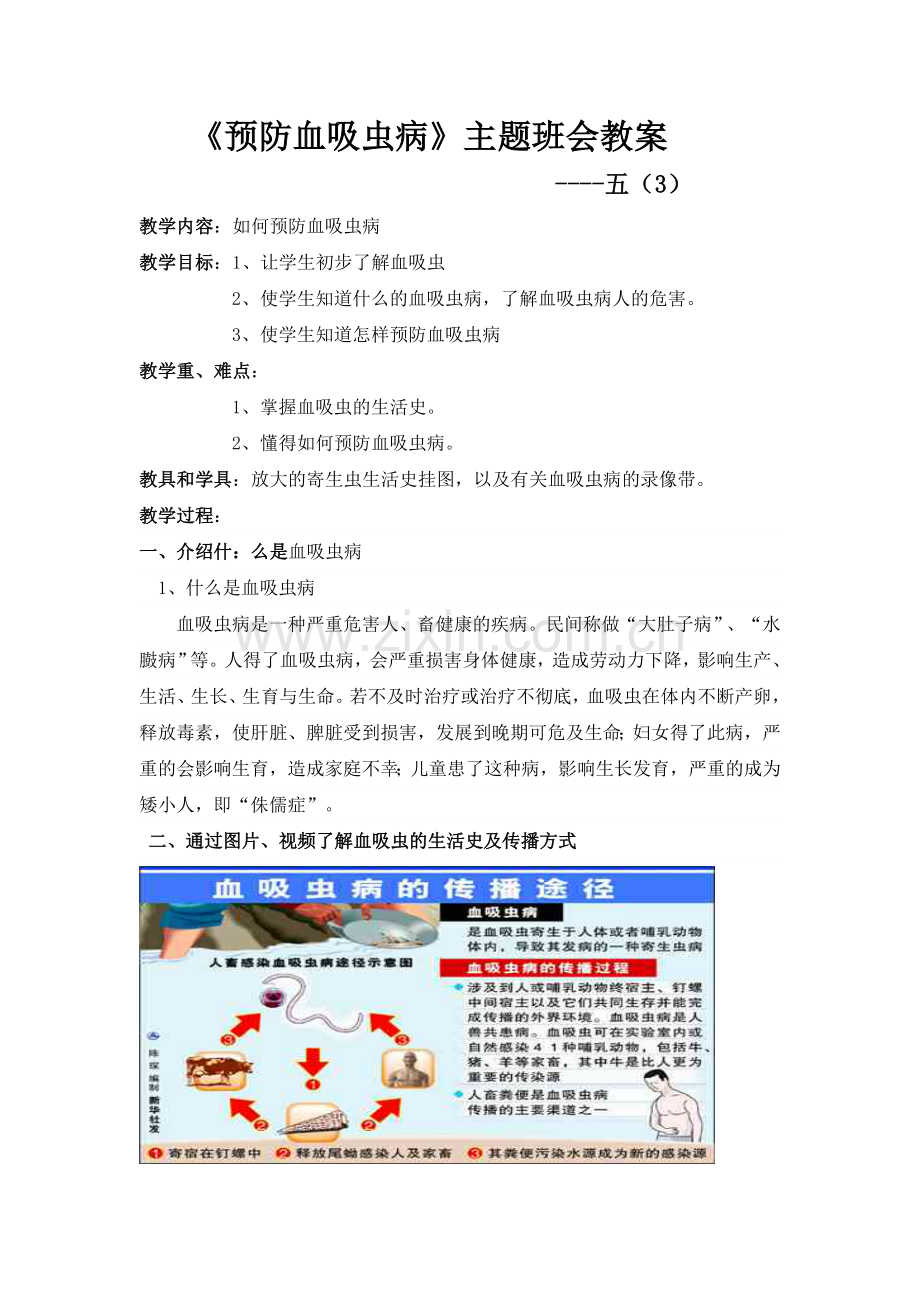 预防血吸虫病教案.doc_第1页