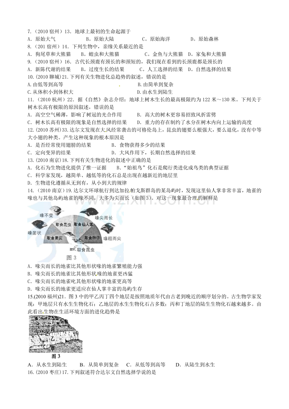 生物总复习七.doc_第2页
