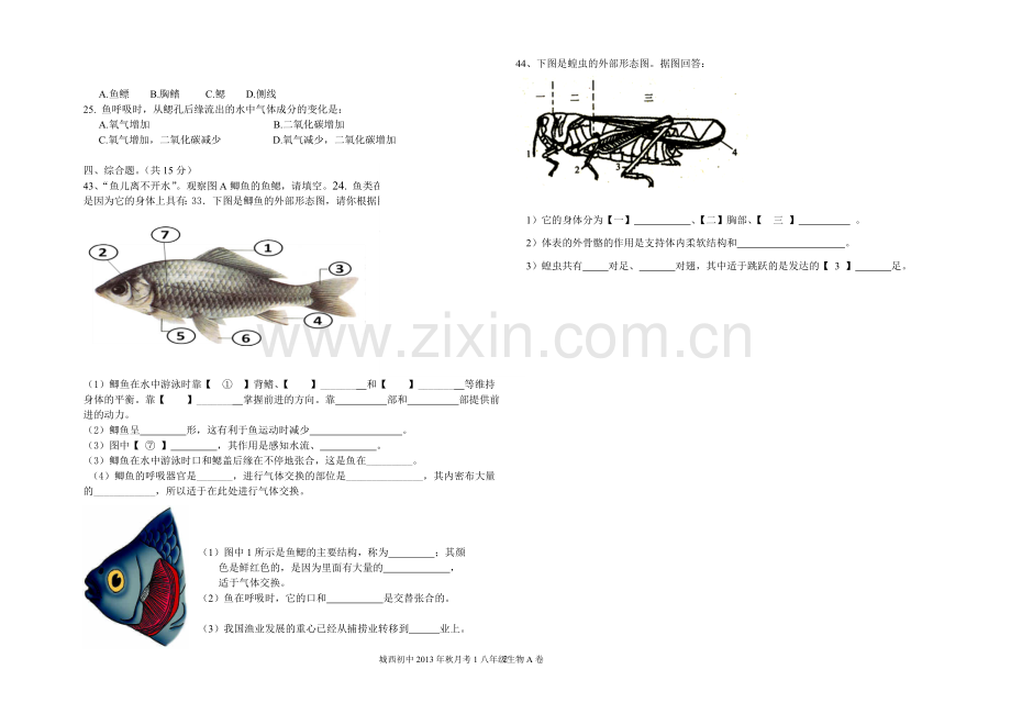 八年级生物第一次月考试题新.doc_第2页
