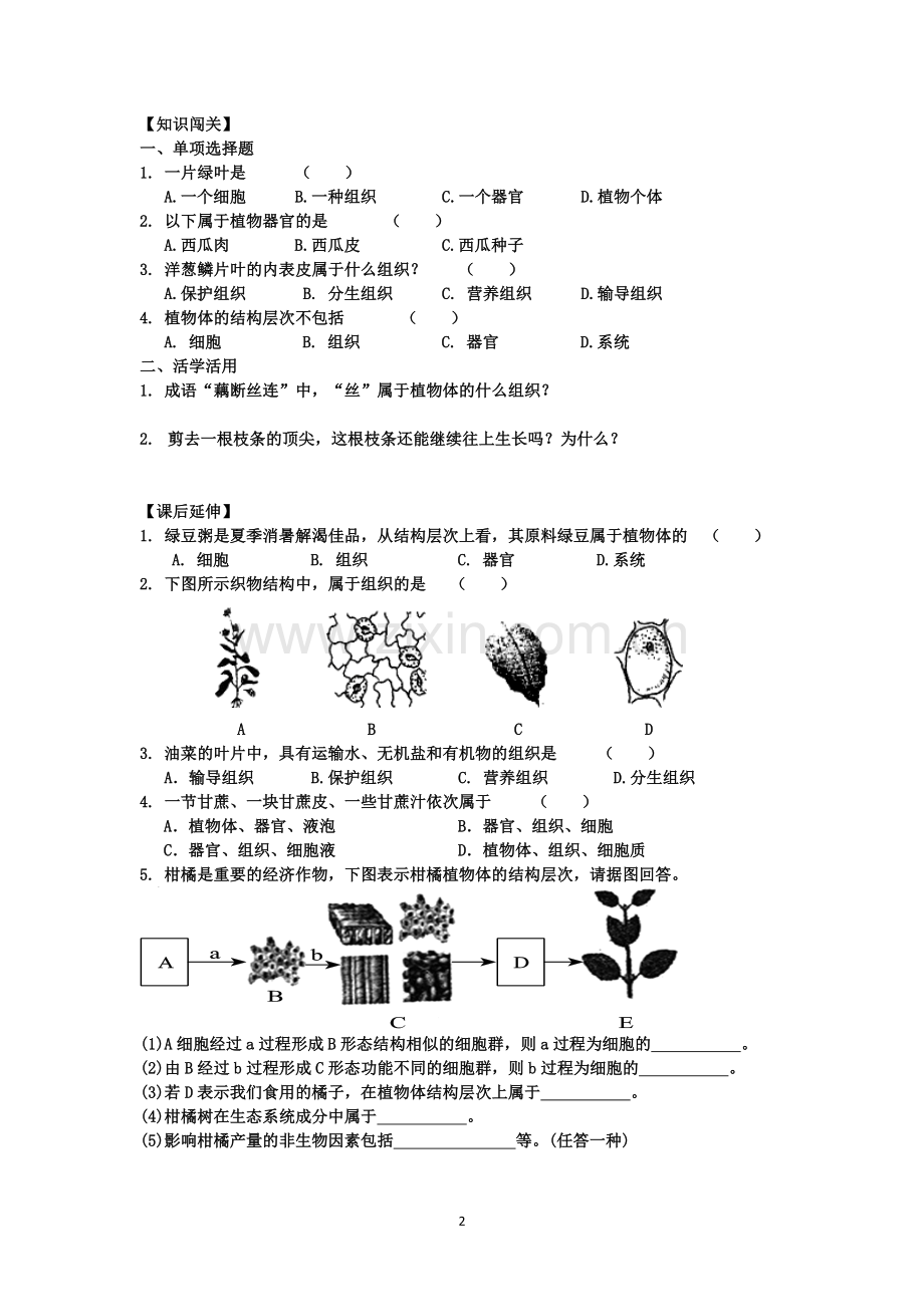 植物体的结构层次导学案修改版.docx_第2页