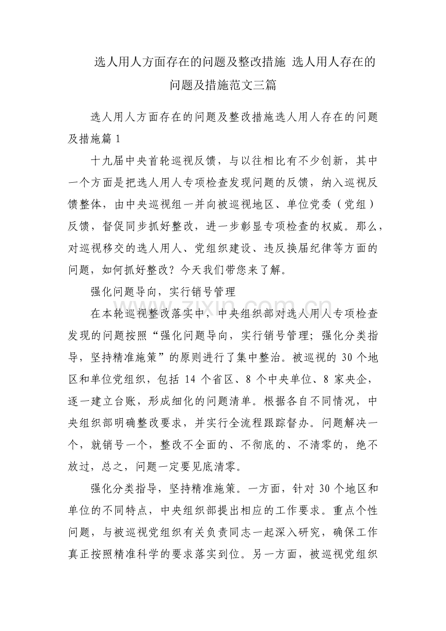 选人用人方面存在的问题及整改措施 选人用人存在的问题及措施范文三篇.pdf_第1页