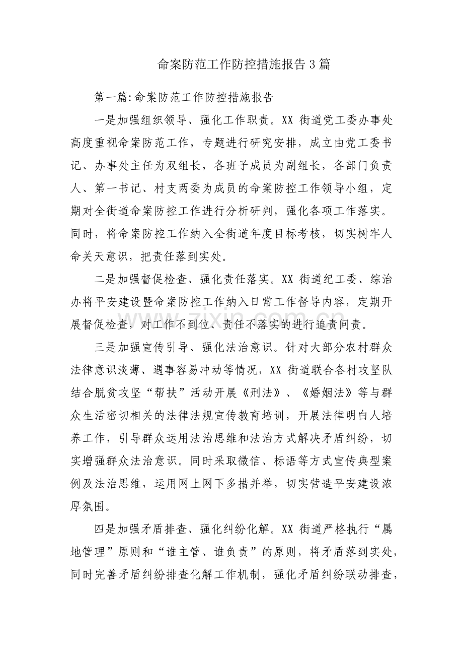 命案防范工作防控措施报告3篇.pdf_第1页