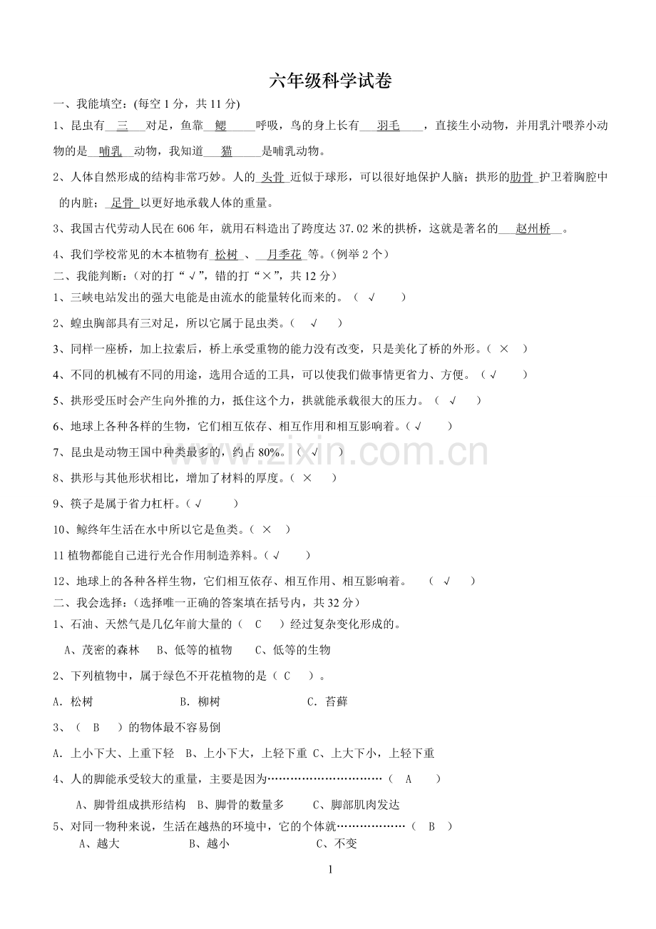 六年级科学试卷.doc_第1页