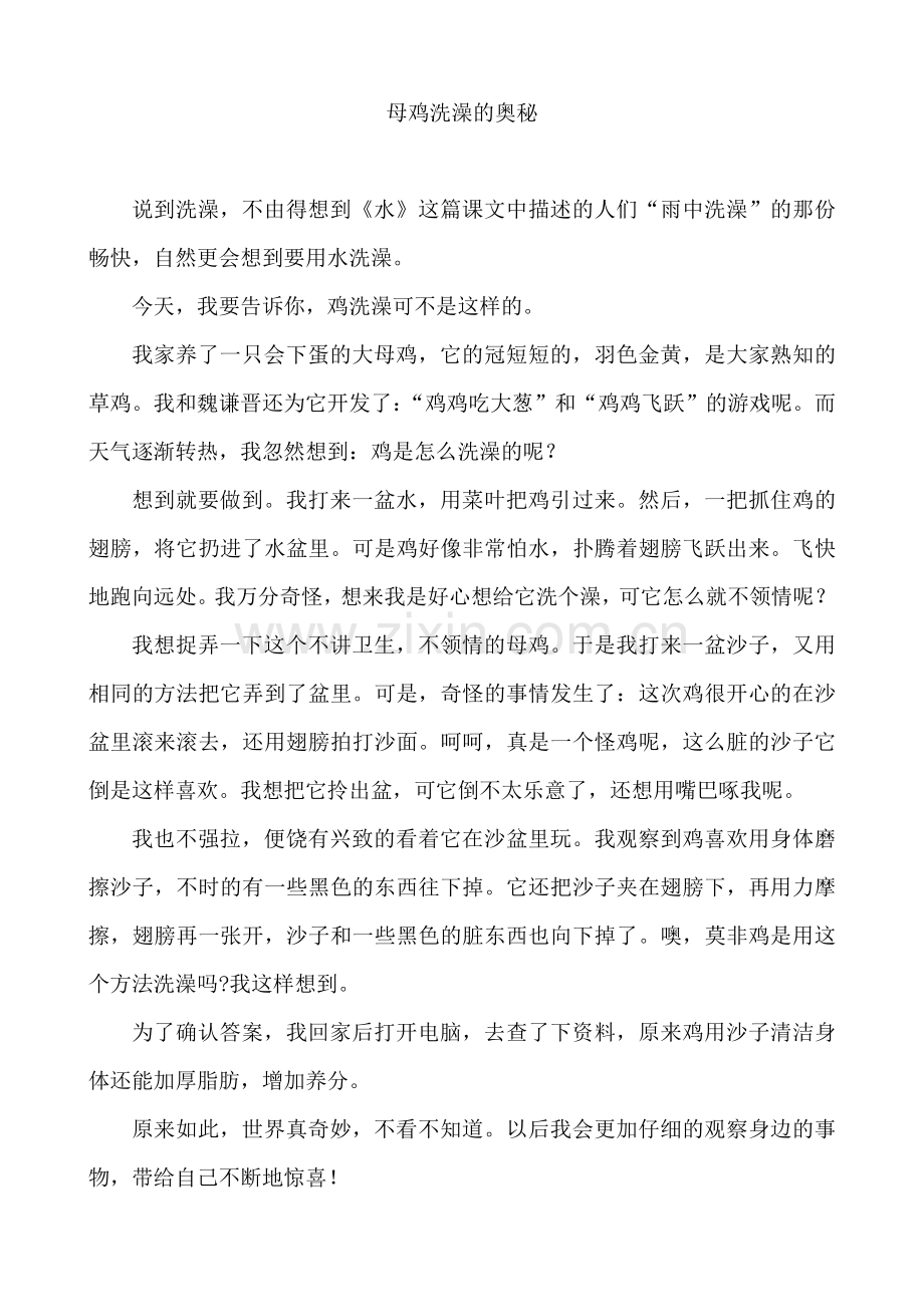 母鸡洗澡的奥秘.doc_第1页